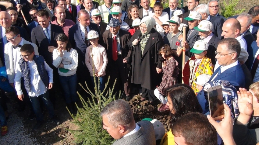 Aile, Çalışma ve Sosyal Hizmetler Bakanı Selçuk, Sinop’ta fidan dikimine katıldı