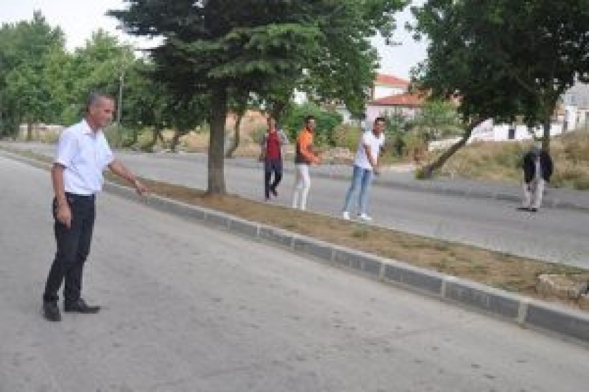 Malkara'da yağmurun ardından çıkan kurbağalar şaşırttı