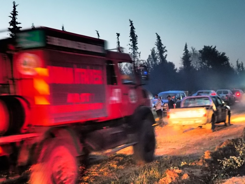 Edirne’deki orman yangını kontrol altına alındı