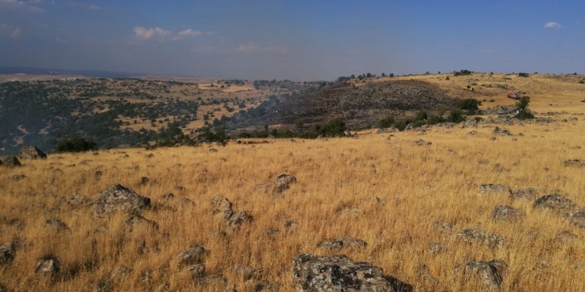 Kilis’te orman yangını