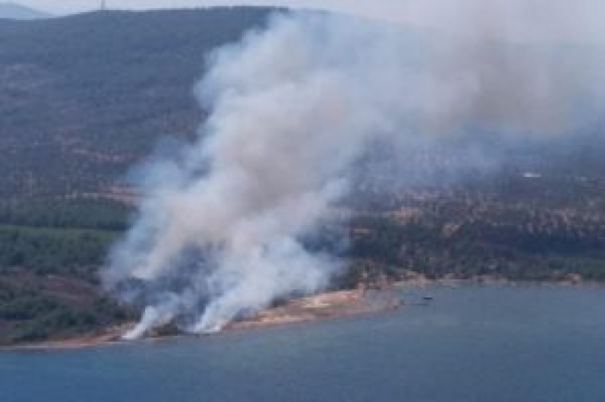 Ayvalık'taki yangınlarla ilgili gözaltına alınanlar serbest