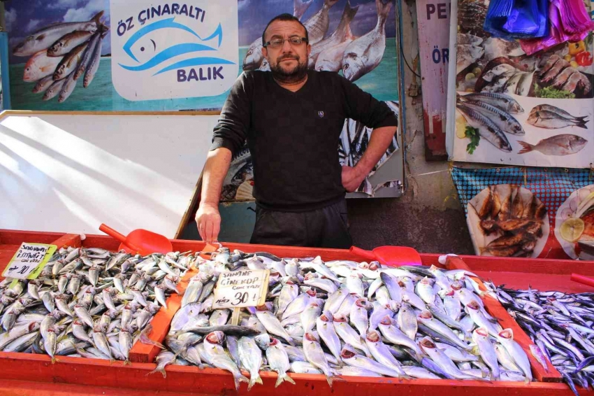 Bursa'da çinekop bolluğu