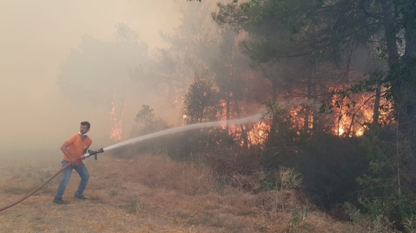 Sakarya’da orman yangını