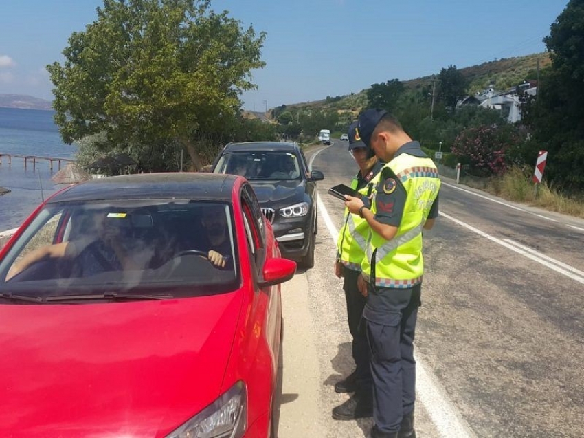 Polis ve jandarmadan 229 şahsa operasyon