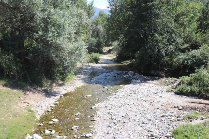 Zehirlenmelerin yaşandığı köyde özel heyet oluşturulacak