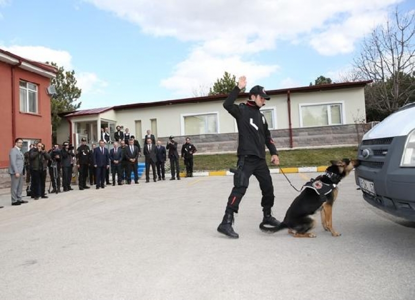 Emniyet'e 18 patlayıcı madde arama görev köpeği daha