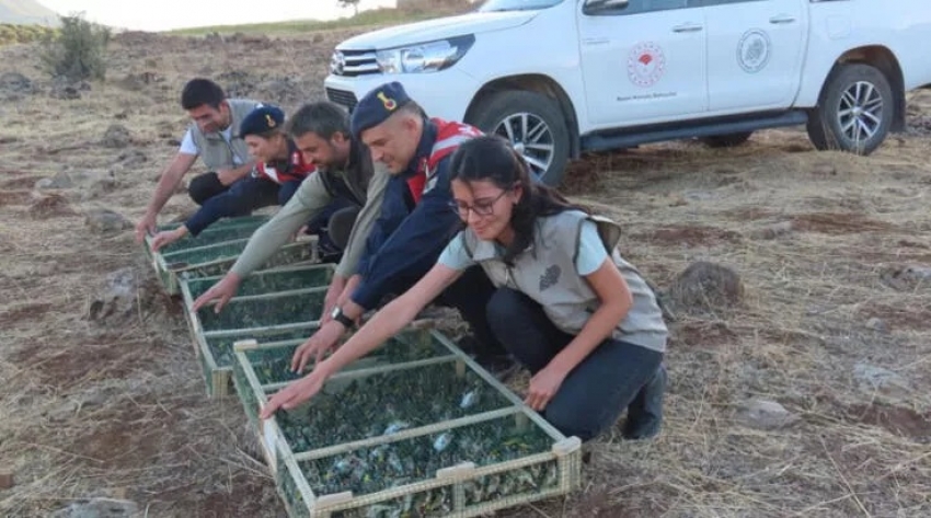 900 sakayı Suriye'ye kaçırmak isteyen şüpheliye rekor ceza