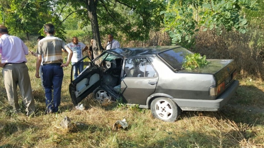 Ağaca çarpan otomobildeki zabıta memuru yaralandı