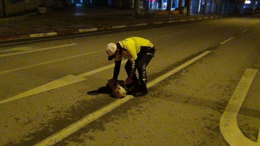 Bursa'da polis memuruyla köpeğin gülümseten görüntüleri