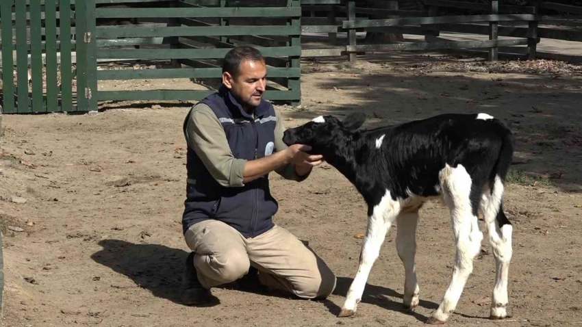 Bursa Zoo’nun yeni üyesinin ismini hayvanseverler koydu