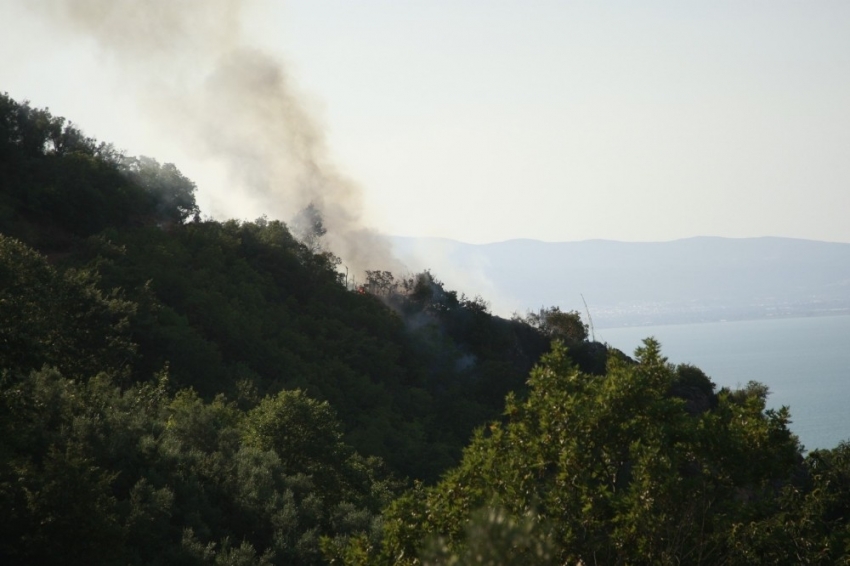 Bağ evindeki yangın ormanlık alana sıçradı