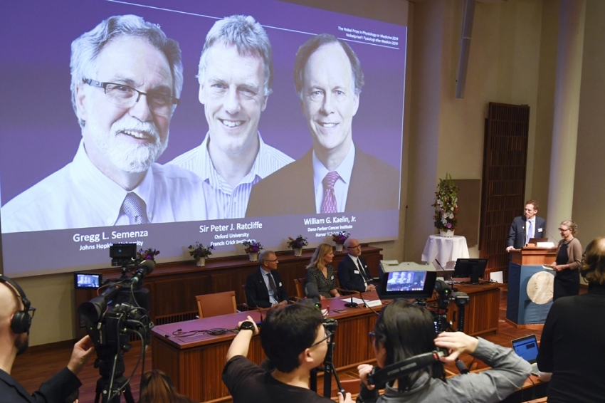 Nobel Tıp Ödülü sahiplerini buldu