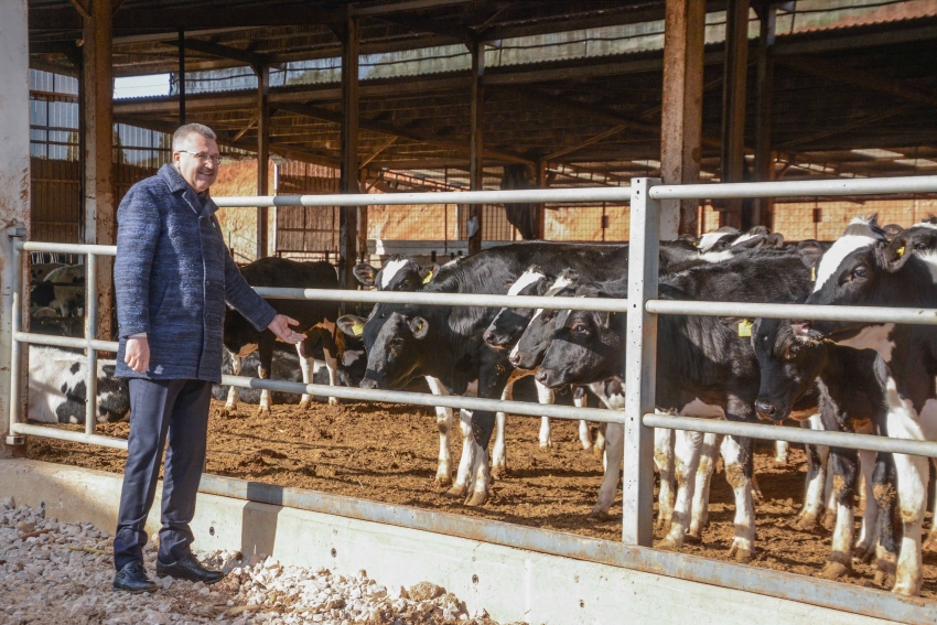 Karacabey Belediyesi'nden hayvancılık sektörüne ziyaret