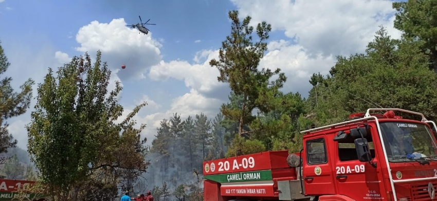 Orman yangını hızlı müdahaleyle söndürüldü