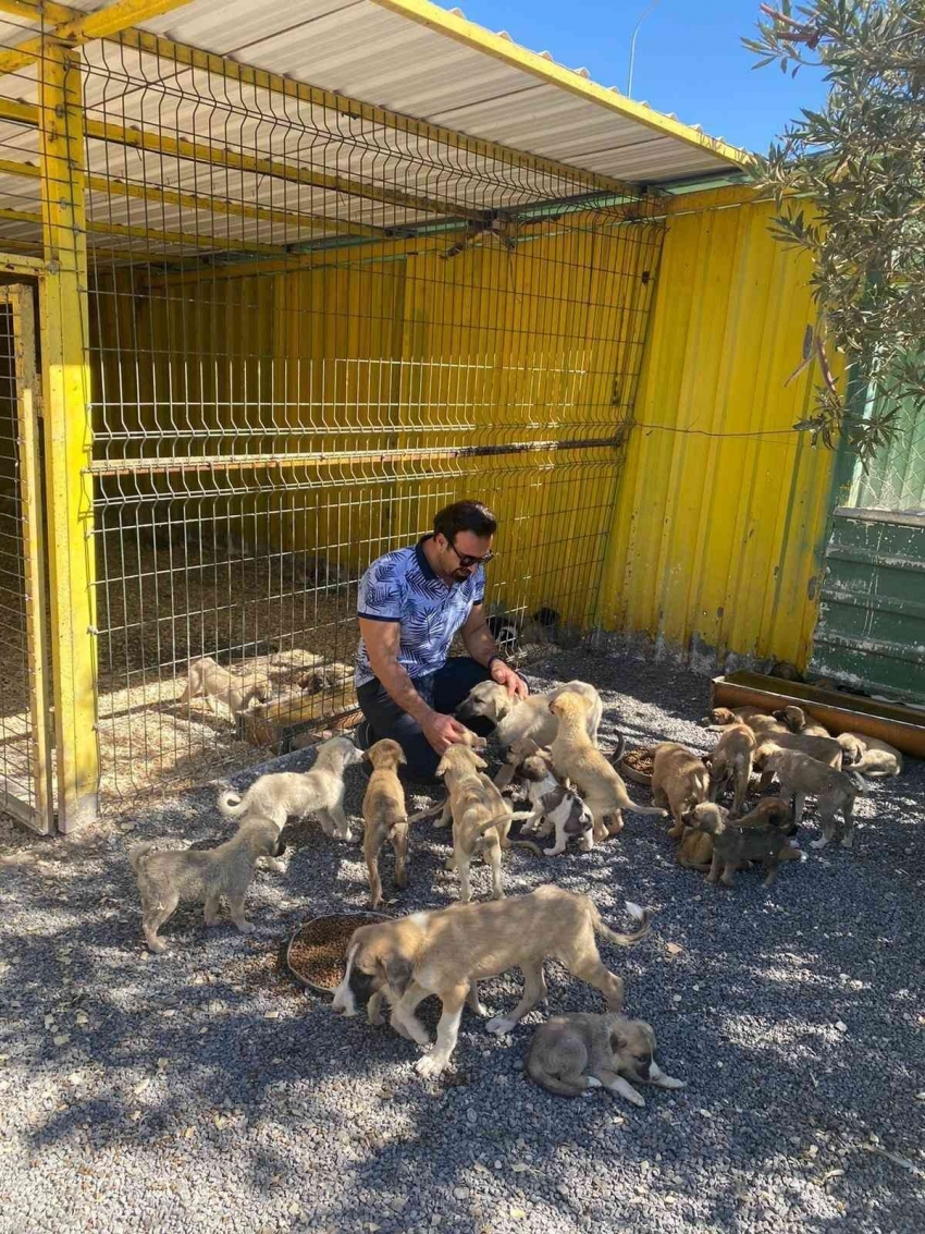 Hayvan Hakları Federasyon heyeti Şanlıurfa’daki hayvanları unutmadı