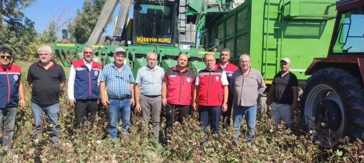 AB tescilli Söke Pamuğu hasadı sürüyor
