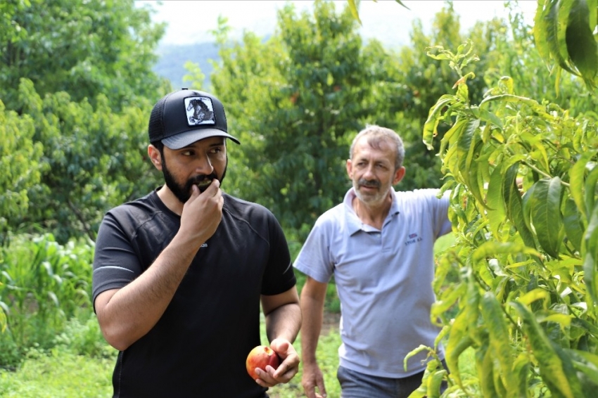 Bu bahçenin meyvesini turistler dalından yiyor