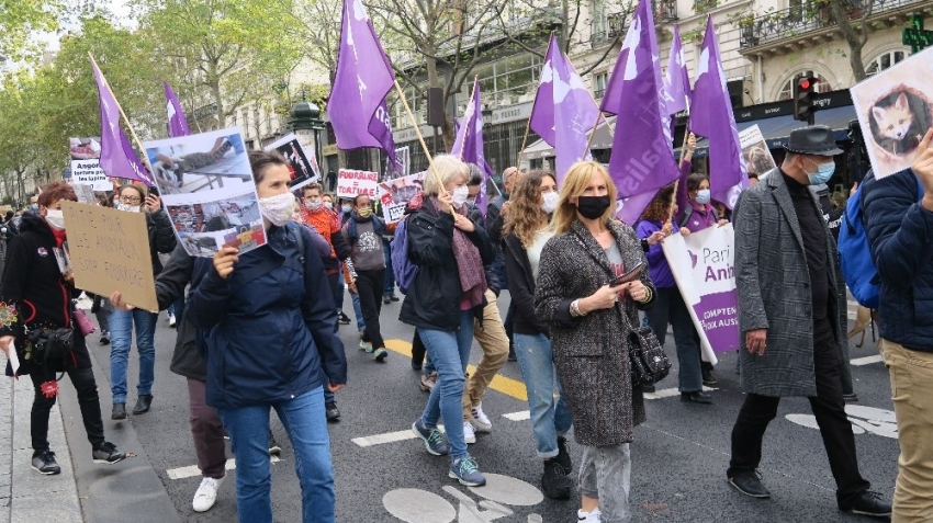 Paris’te kürk karşıtları ve hayvan hakları savunucularından eylem