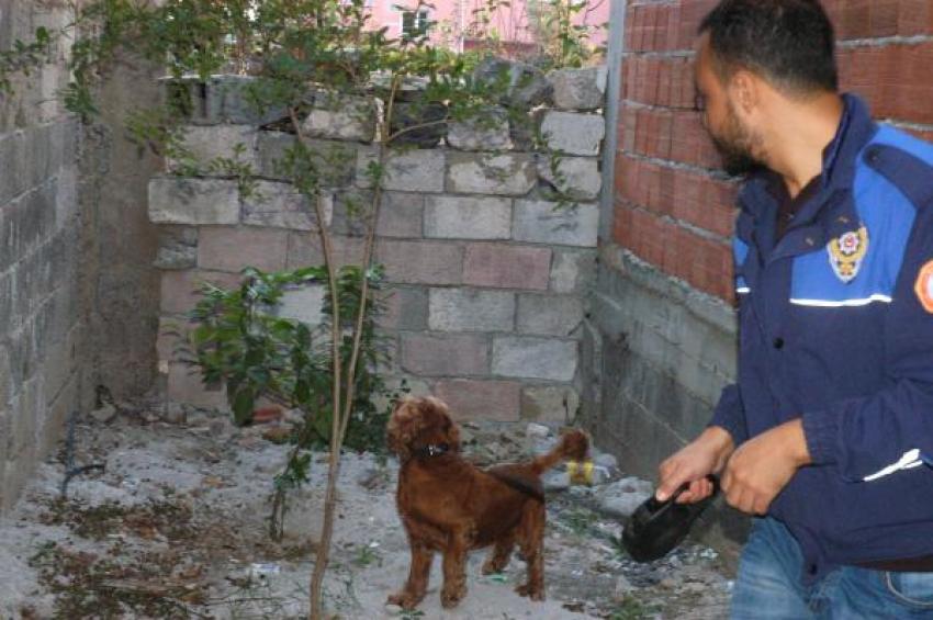 Adana'da büyük uyuşturucu operasyonu