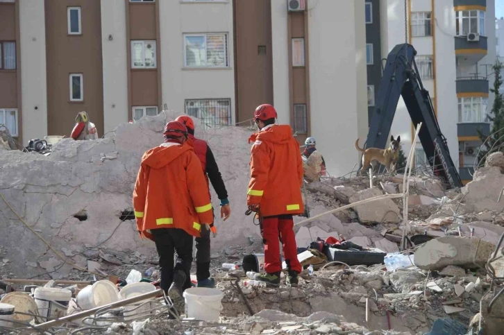 Adana’da arama-kurtarma köpekleri çalışmalara katkı sağlıyor
