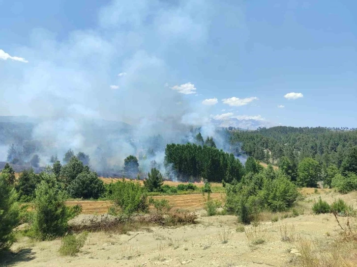 Adana’da orman yangını
