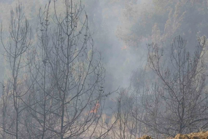 Adana’da orman yangınına havadan ve karadan müdahale devam ediyor
