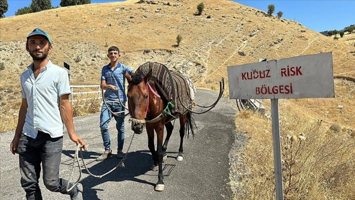 Adıyaman'da bir köy kuduz nedeniyle karantinaya alındı