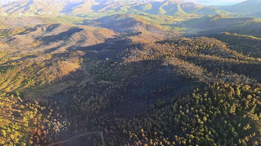 Marmaris yangını kısmen kontrol altında