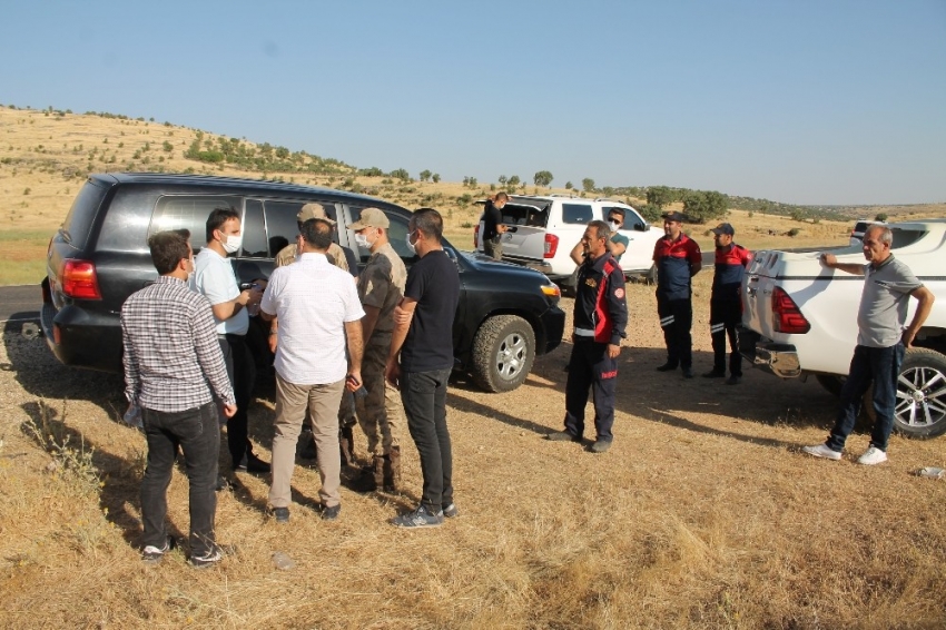 Midyat’ta orman yangını