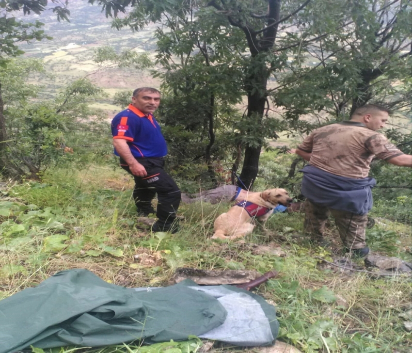 Polonyalı turistin feci ölümü