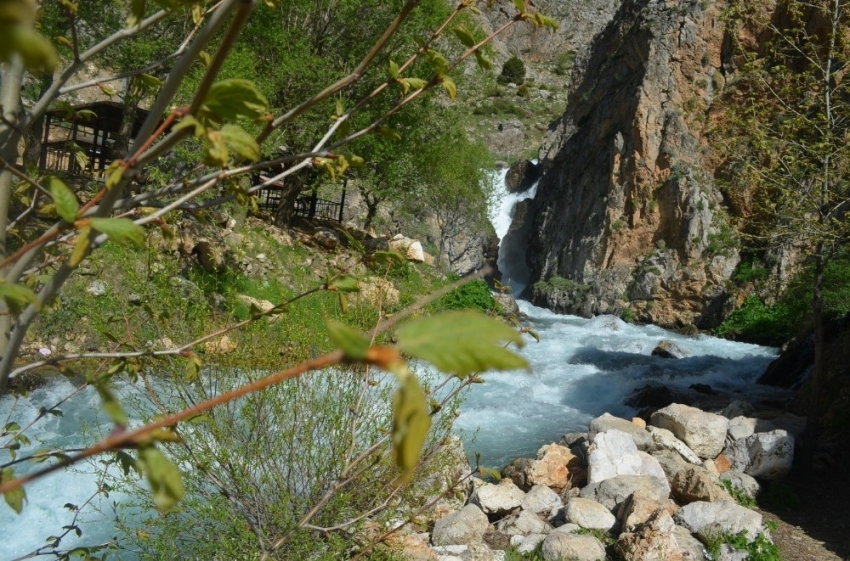  Doğada ’Korona virüs’ sessizliği