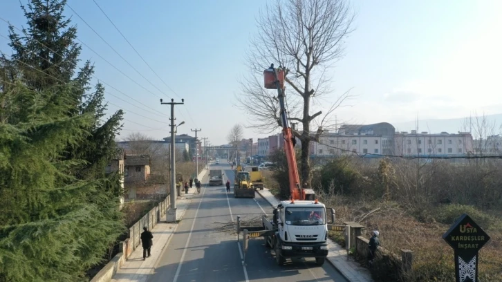 Ağaçlara kar yağışı öncesi bakım
