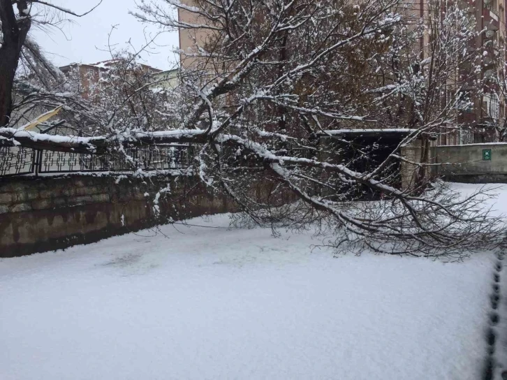 Ağrı’da bahar havası yerini kara bıraktı
