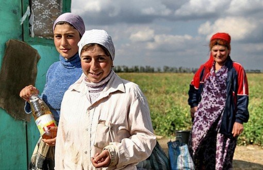 Ahıska Türkleri, Türkiye’ye kabul edilecek