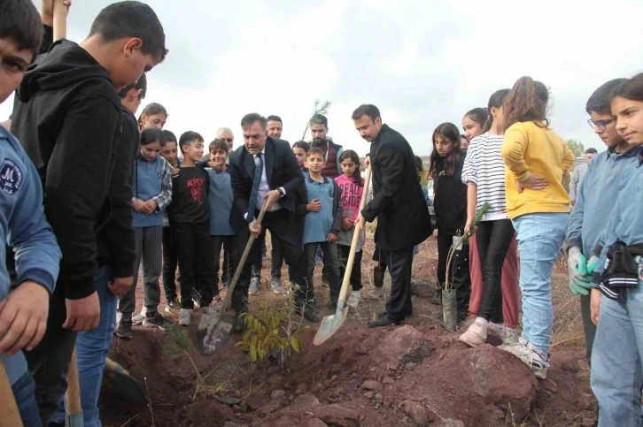 Ahlat’ta 2023 fidan dikildi
