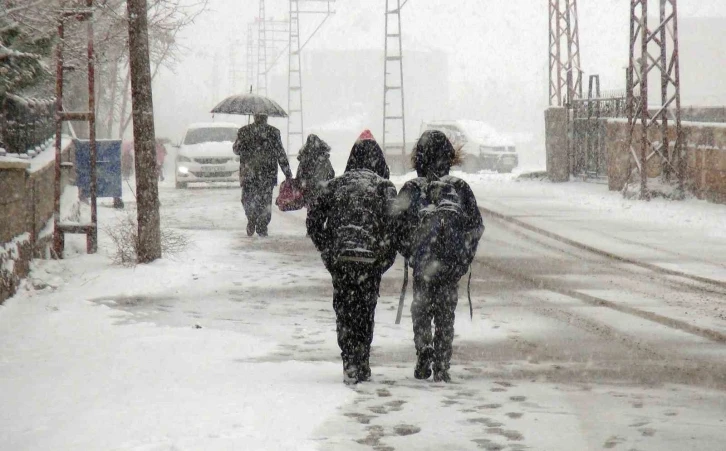 Ahlat’ta kar yağışı etkili oluyor
