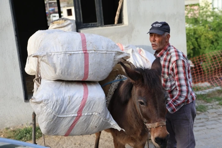 Akaryakıt zamları, at, eşek ve katırları kıymetli kılmaya devam ediyor
