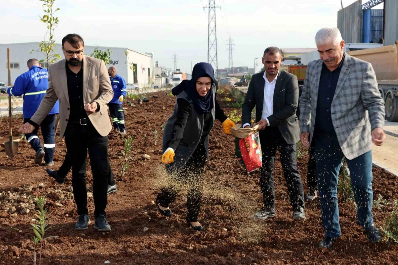 Akdeniz ilçesi yeni bir yeşil alan kazanıyor
