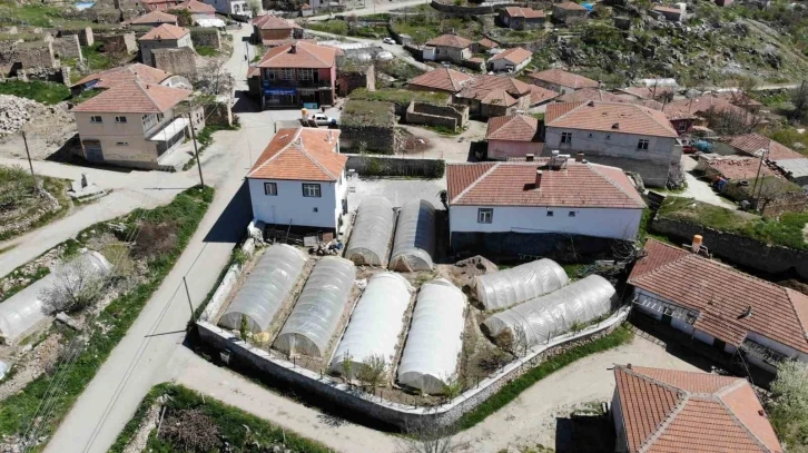 Aksaray’daki küçük Adana’da geçim seracılıktan
