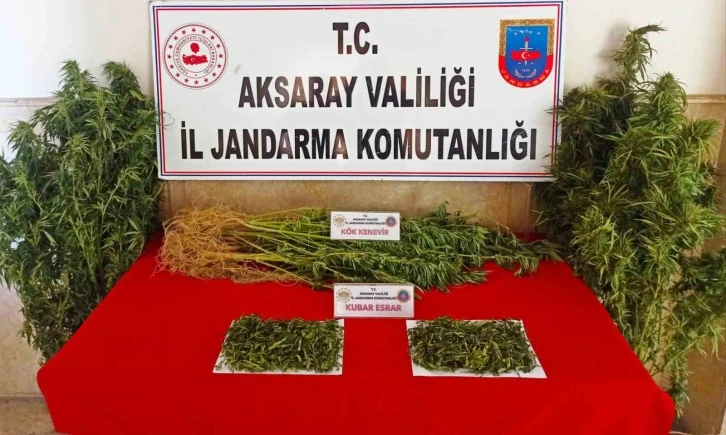 Aksaray jandarmadan uyuşturucu operasyonu: 2 gözaltı
