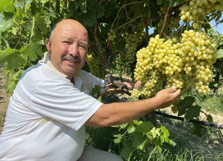 Alaşehirli üzüm üreticileri satışlarını güvenle yapacak
