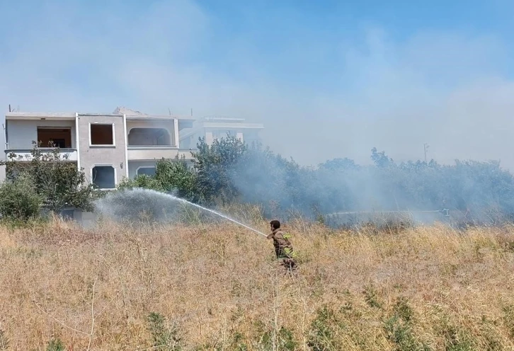 Alevlerin içinde kalan kaplumbağayı itfaiye kurtardı