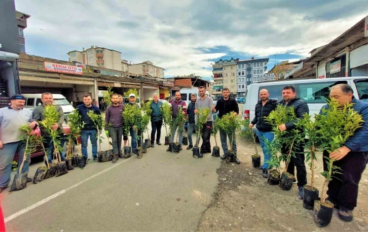 Altınordu’da 2 yılda 341 bin fidan toprakla buluşturuldu
