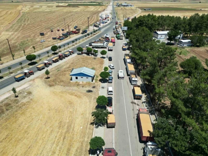 Ambarlar doldu, silolarda yer kalmayınca buğdaylar eski usülle saklanmaya başlandı
