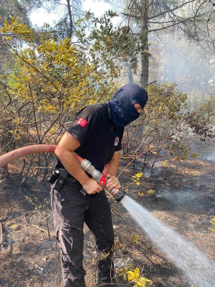 Anız yakarak toprağı öldürmeyin
