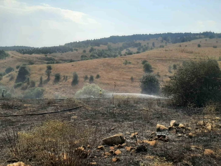 Anız yakılmasıyla tarlada başlayan yangın ormanlık alana sıçramadan söndürüldü
