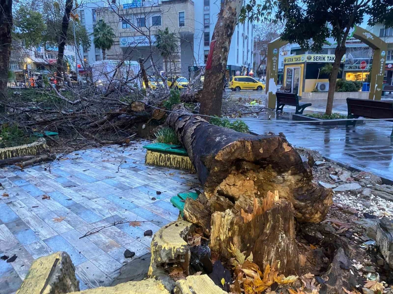 Antalya’da aşırı yağış ve fırtına asırlık çınar ağacını devirdi
