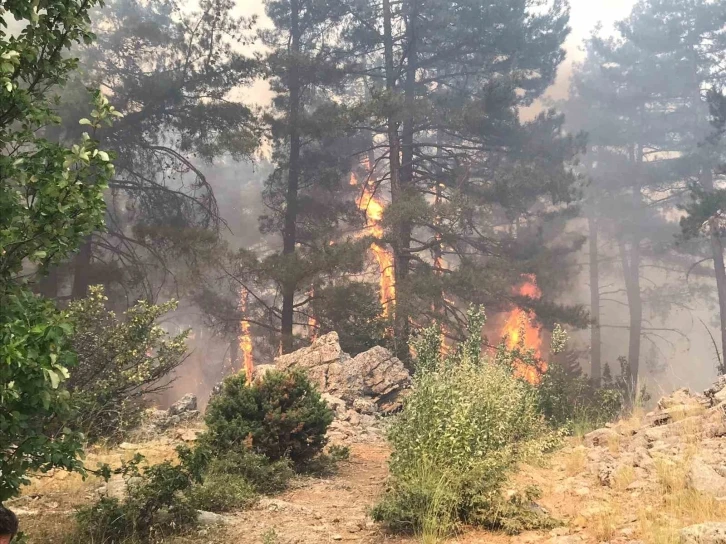 Antalya’da orman yangını devam ediyor