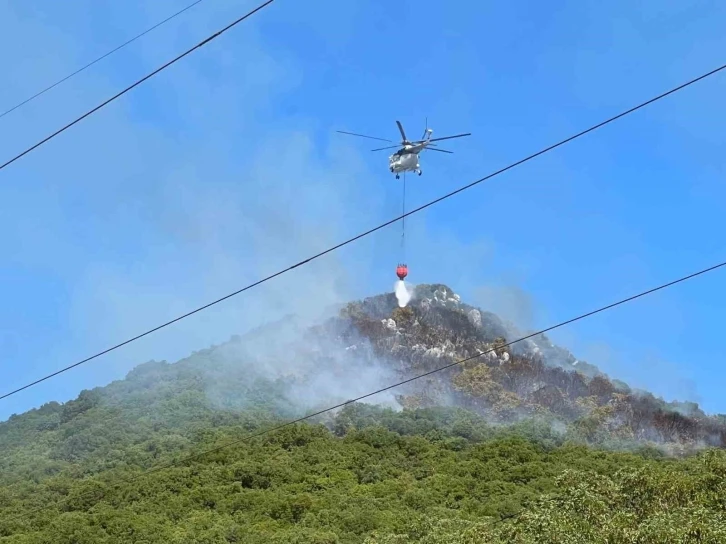 Antalya’nın Demre ilçesindeki orman yangınına havadan ve karadan müdahale ediliyor
