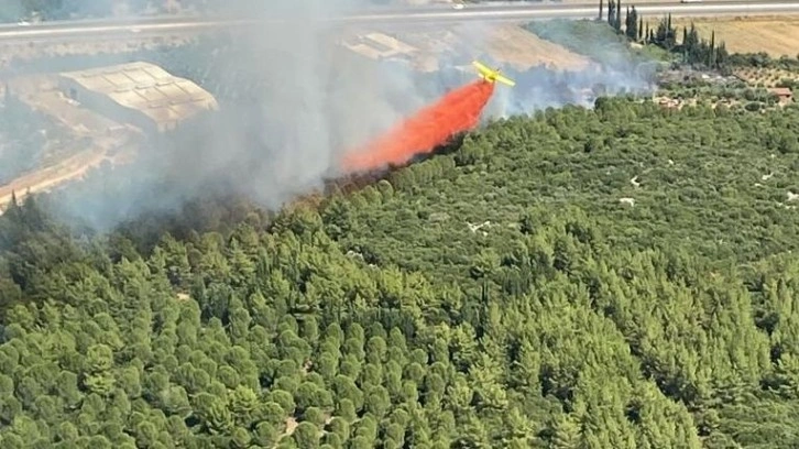 Antalya'nın Aksu ilçesinde çıkan orman yangını kontrol altına alındı